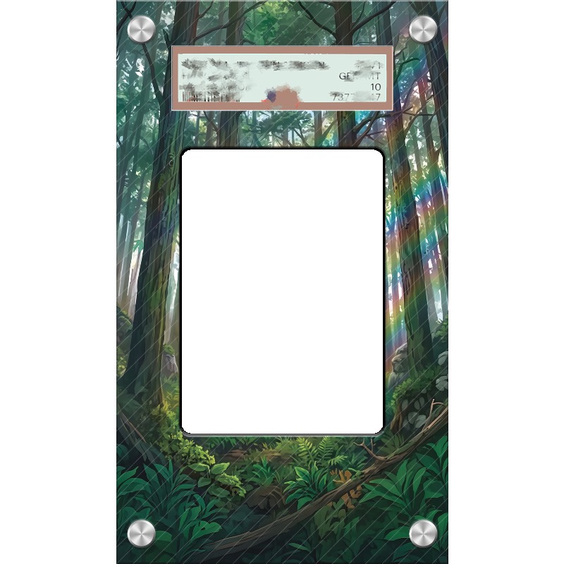 Art Display for Pokemon Ferrot - đánh giá và giá Anime Merchandise From Japan