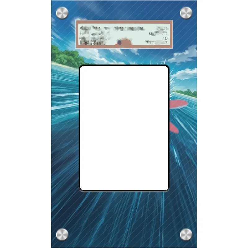 Art Display for Pokemon Yanmeg - đánh giá và giá Anime Merchandise From Japan